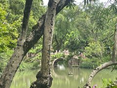 -上海醉白池公园