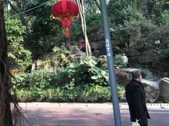 -金鸡山公园