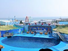 -海合安青岛极地海洋公园
