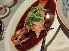 -皇朝会.经典传统粤菜(外滩店)