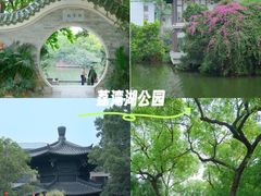 -荔湾湖公园