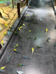 -酷嗒动物文化乐园(cutezoo西溪乐天城店)