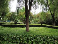 -莲花池公园