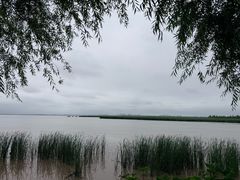 -呼兰河口湿地公园