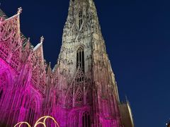 -斯蒂芬主教座堂(Stephansdom)