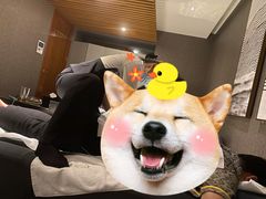 -新盈光·旗舰店(海曙苍松路店)