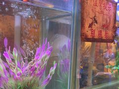 -粗粮人家·东北菜(洋桥店)