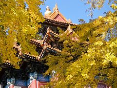 -东华门大街小区