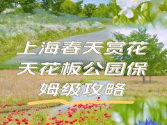 -花开海上生态园