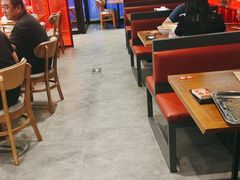 大堂-管氏翅吧(马家堡店)