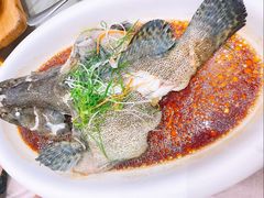 -海龙阁酒家·37年老字号粤菜(保利广场店)