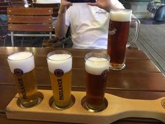-Paulaner·德国帕拉娜自酿啤酒餐厅(海上世界店)