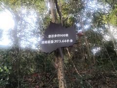 -普陀山风景区-佛顶山