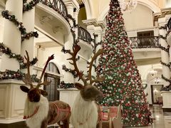 -LONG BAR 廊吧(外滩华尔道夫酒店)