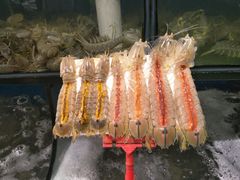 -蚝专家(北滘店)