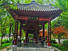 -莲湖公园