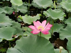 -上海市保健医疗中心