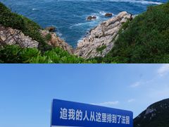 -杨梅坑