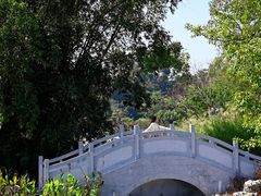 -广西壮族自治区药用植物园