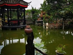 -代木儿回锅肉