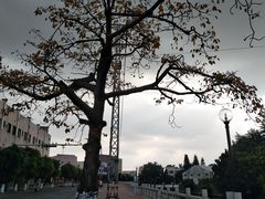 -大信·云顶星河游乐王国