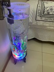 -珍贞佰俪·针清祛痘印敏感管理