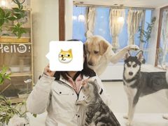 -共舞时光猫咖·狗咖(新街口店)