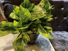 -红辣椒·川菜·火锅(张杨路店)