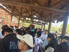 -太阳部落
