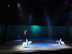-cavalia·舞马