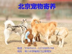 -瑞派·关忠动物医院·猫专科·犬专科(三环新城店)