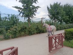 -意大利农场度假村