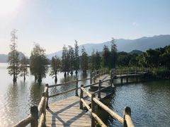 -星湖旅游景区七星岩