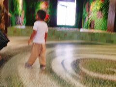 -泉城欧乐堡戏水湾艺术养生温泉