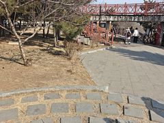 -养马岛旅游度假区