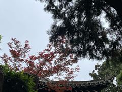 -个园