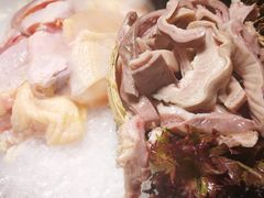 -洪氏嗨捞·猪肚鸡火锅(阳光天地店)