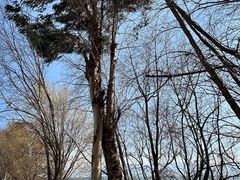 -洱海月湿地公园