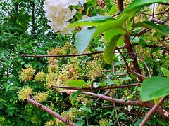 -大龙山(地铁站)