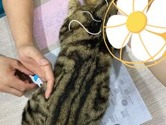 -荔康动物医院(康王北路店)