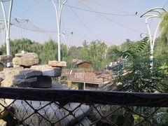-太原动物园