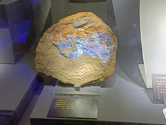 -湖南省地质博物馆