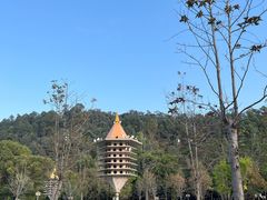 -顺峰山公园
