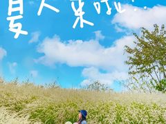 -佛山京华广场MALL