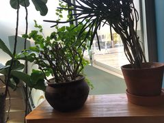 靠窗位-半山腰·云南菜(侨福芳草地店)