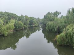 -同里国家湿地公园