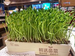 -捞神煲汤火锅(湖滨商业街店)