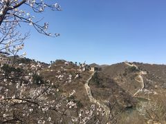 -辛玛王国游乐园