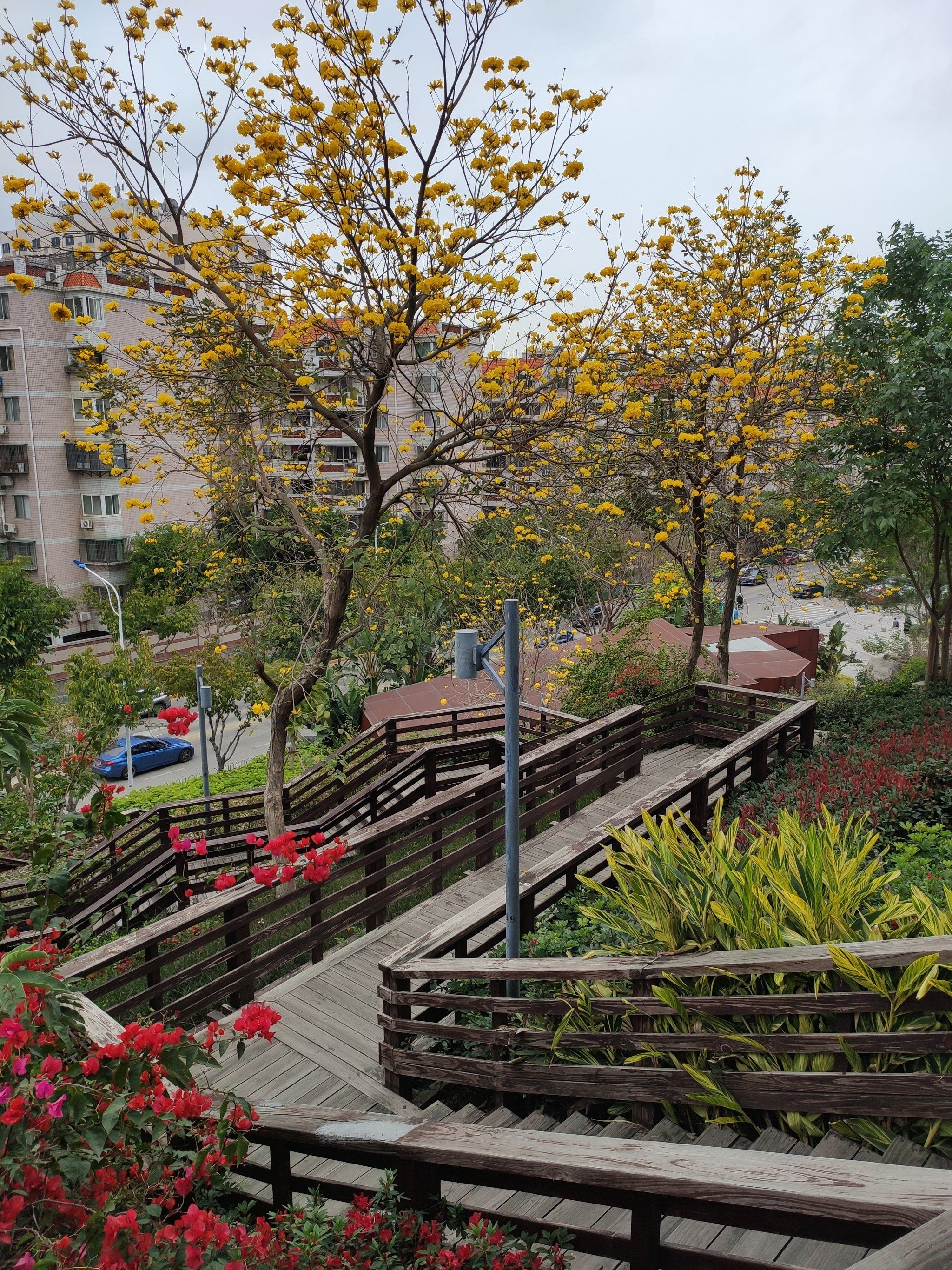 公园鸟语花香记