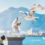 ¥198‼️云南，我们来了